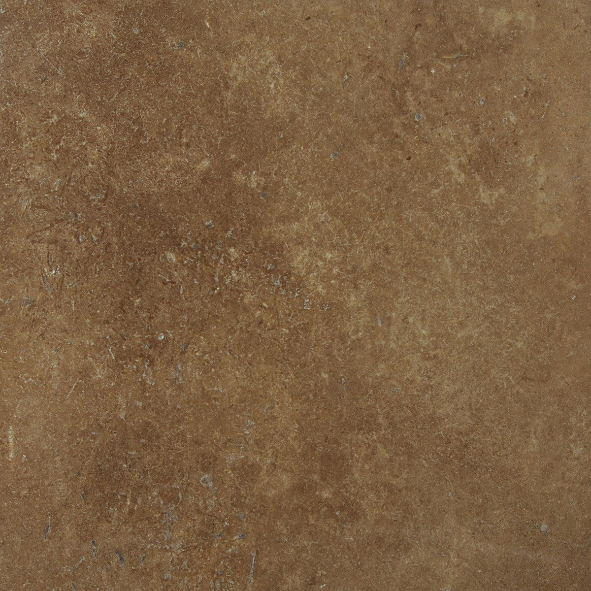 noche-travertine-cross-cut